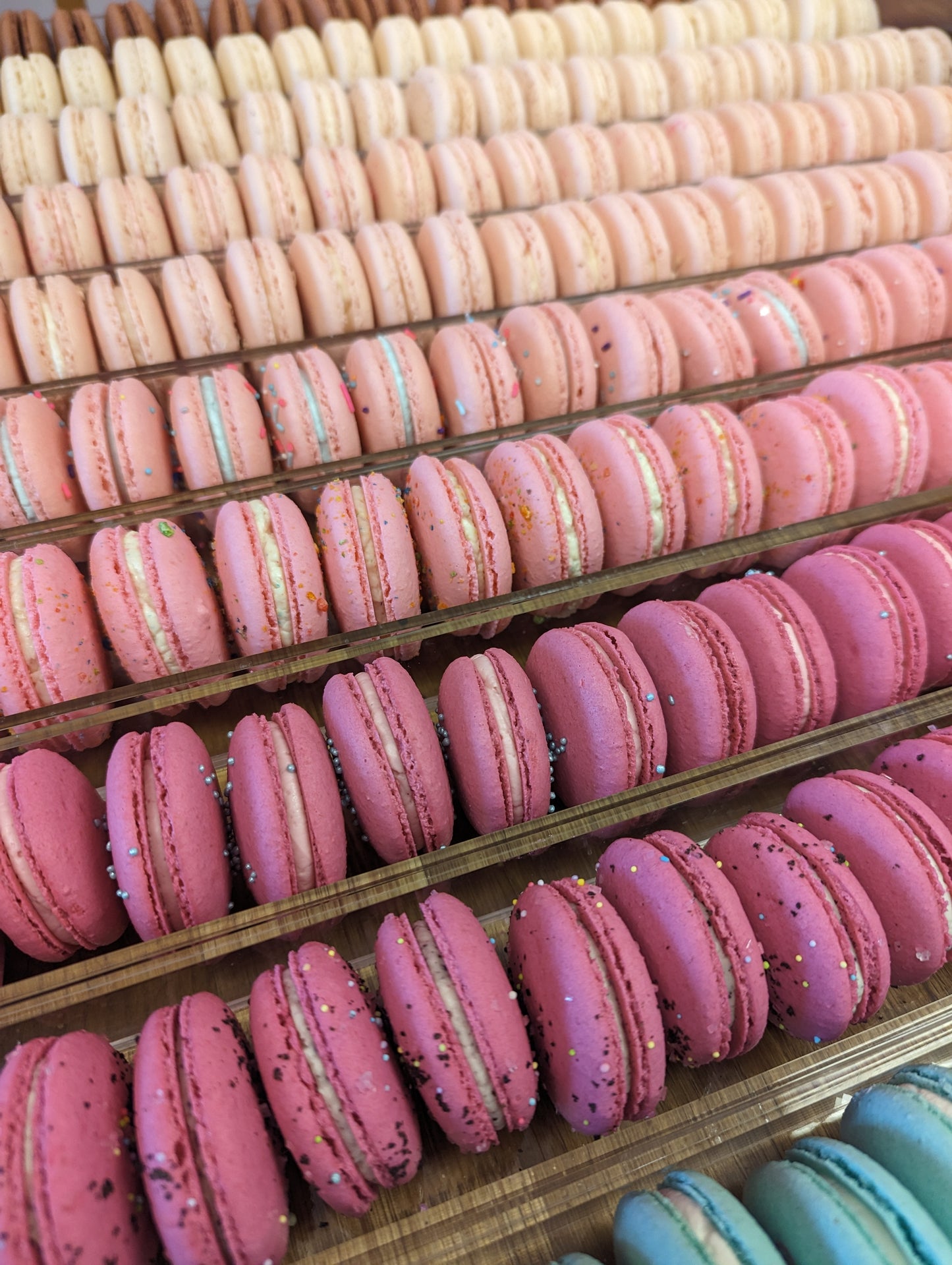 Custom Color French Macarons